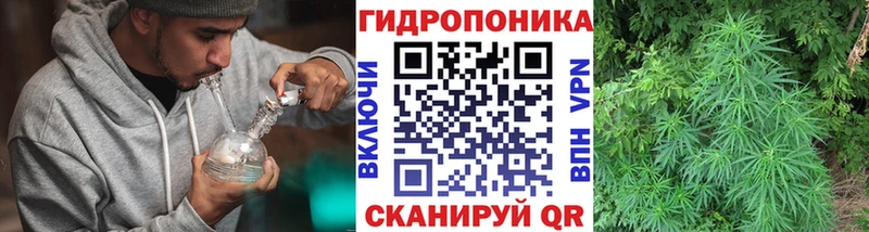 Сколько стоит Курчалой ГАШ  COCAIN  МЕФ 