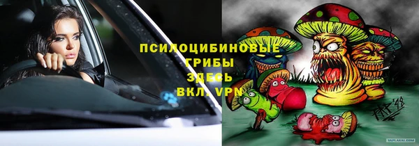 метадон Касимов