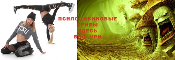 спиды Каменногорск