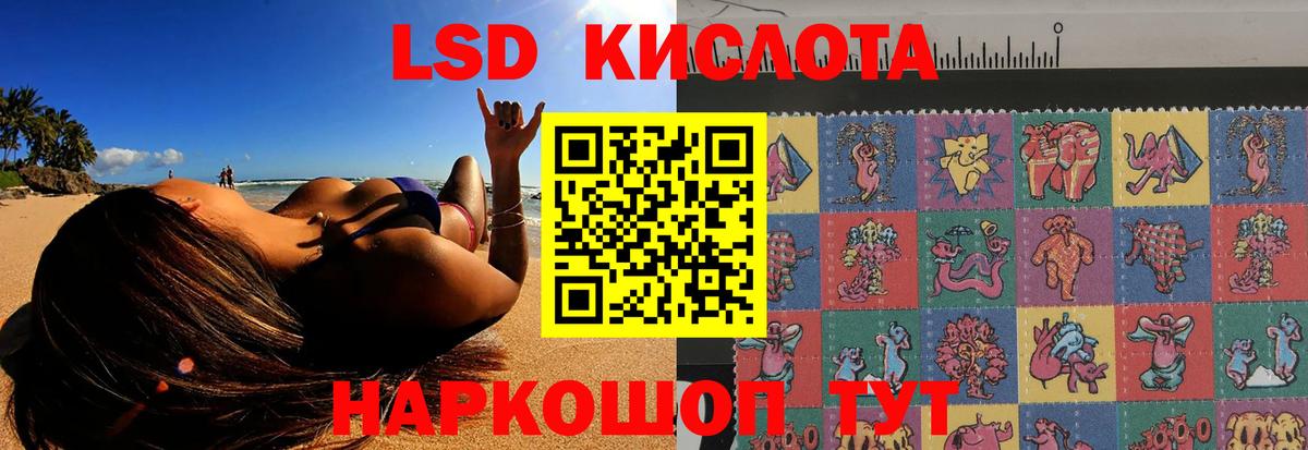 LSD-25 экстази кислота  Вход с VPN  Курчалой 