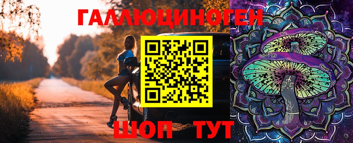 Галлюциногенные грибы Psilocybe  Вход с VPN  Курчалой  Галлюциногенные грибы Magic Shrooms 