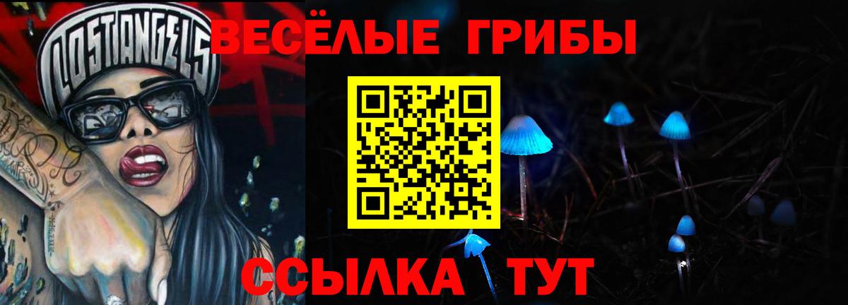 Галлюциногенные грибы Psilocybine cubensis Курчалой