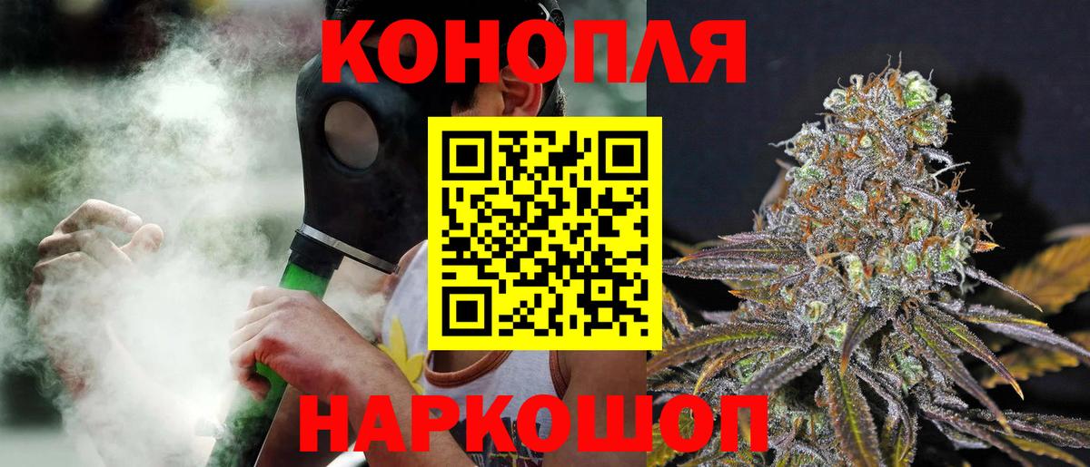Курчалой  Каннабис ГИДРОПОН  Канабис VHQ  Конопля тримм  Вход с VPN  Бошки Шишки конопля 